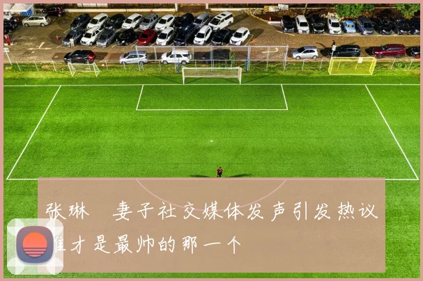 张琳芃妻子社交媒体发声引发热议谁才是最帅的那一个