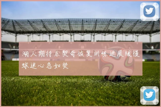 湖人期待东契奇恢复训练进展缓慢球迷心急如焚