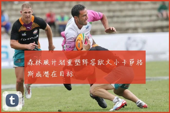 森林狼计划重塑阵容欧文小卡萨格斯成潜在目标
